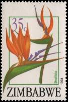 (№1994-526) Марка Зимбабве 1994 год "Стрелиции СП", Гашеная