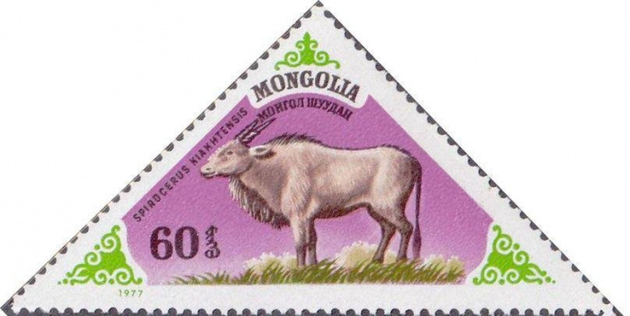(1977-030a) Сцепка тет-беш (2 м) Монголия &quot;Спироцерус&quot;    Доисторические животные III Θ