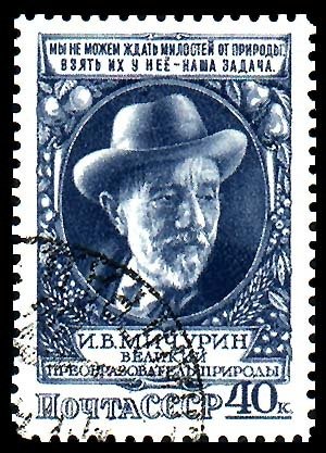 1949-052 Марка СССР Портрет (Синяя)  И.В. Мичурин I Θ