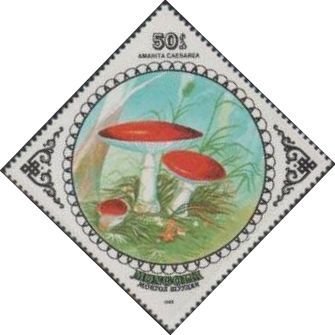 (1985-061) Марка Монголия &quot;Цезарский гриб&quot;    Грибы III O