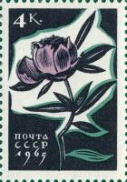 1965-040 Марка СССР Пион   Цветы II O