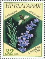 (1987-049) Марка Болгария "Лаванда узколистная"   Пчелы и растения III Θ