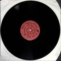 Пластинка виниловая , Господа играют в домино ПСГ 300 мм. (Сост. отл.)