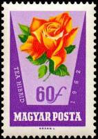 (1962-044) Марка Венгрия "Красно-желтая роза"    Розы I Θ