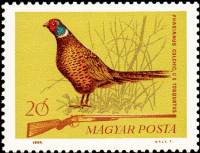 (1964-092) Марка Венгрия "Обыкновенный фазан"    Охота III Θ