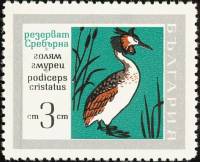(1968-061) Марка Болгария "Чомга"   Заповедник «Серебряный» III O