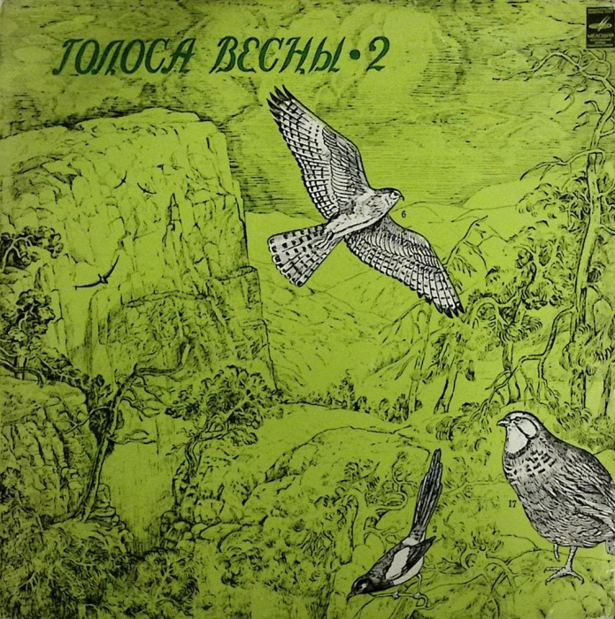 Пластинка виниловая &quot;Записи Б. Вепринцева. Голоса весны - 2&quot; Мелодия 250 мм. (Сост. на фото)