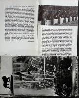 Набор открыток  "Львы", 24 шт.