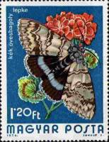 (1974-083) Марка Венгрия "Голубая орденская лента"    Бабочки III Θ
