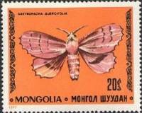 (1977-061) Марка Монголия "Коконопряд дуболистный"    Насекомые. Бабочки II O