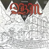 Пластинка виниловая ЭВМ Здравствуй дурдом Мелодия 300 мм. Near mint