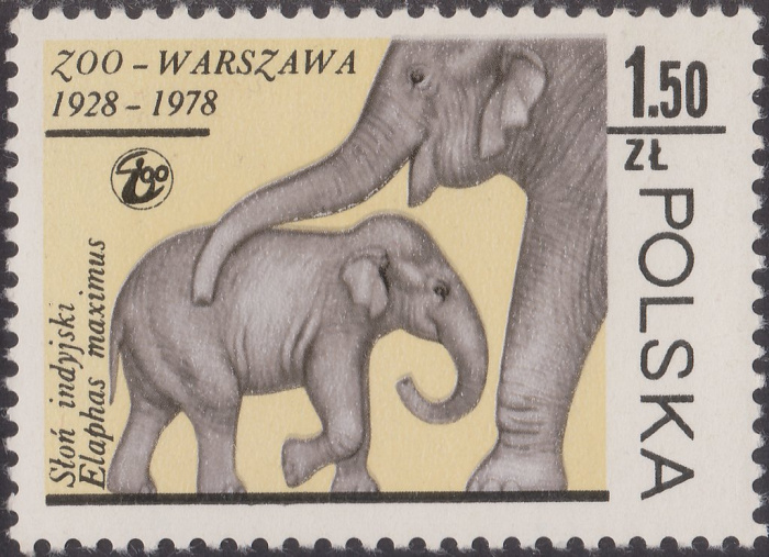 (1978-049) Марка Польша &quot;Азиатский Слон &quot;    50 лет Зоопарку Варшавы III O