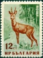 (1958-012) Марка Болгария "Косуля" Перф лин 11   Дикие животные Болгарии III O