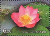 (2007-) Лист (9 м 3х3) Россия-Финдяндия "Цветы"      III O