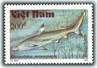 (1991-035) Марка Вьетнам "Мальгашская ночная акула"    Акулы III Θ