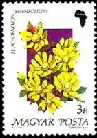 (1990-014) Марка Венгрия "Лейкадендрон списсифолиум"    Флора. Цветы II Θ