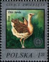 (1977-023) Марка Польша "Дрофа"    Редкие животные III Θ