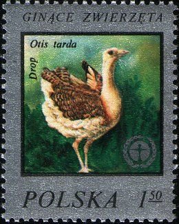 (1977-023) Марка Польша &quot;Дрофа&quot;    Редкие животные III Θ