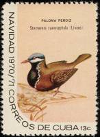 (1970-099) Марка Куба "Синеголовый голубь"    Рождество III O