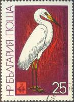 (1981-029) Марка Болгария "Большая белая цапля"   Международная охотничья выставка EXPO ' 81 III Θ