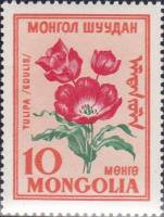 (1960-006) Марка Монголия "Тюльпан съедобный"    Цветы III Θ
