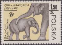 (1978-049) Марка Польша "Азиатский Слон "    50 лет Зоопарку Варшавы I Θ