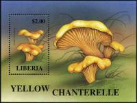 (№1998-178) Блок марок Либерия 1998 год "Cantharellus cibarius", Гашеный