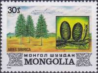 (1982-039) Марка Монголия "Сибирская пихта"    Флора Монголии III Θ