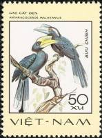 (1977-014a) Марка Вьетнам "Чёрная птица-носорог"  Без перфорации  Птицы III Θ