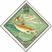 (1975-045) Марка Монголия "Алтайский осман"    Промысловые рыбы III Θ