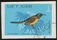 (1981-034a) Марка Вьетнам "Зеленохвостая солнечная птица"  Без перфорации  Птицы III Θ