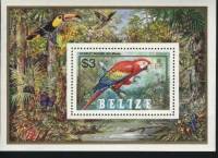 (№1984-66) Блок марок Белиз 1984 год "Скарлет Ара Ара Макао", Гашеный