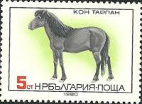 (1980-100) Марка Болгария "Дикая лошадь"   Породы лошадей II Θ