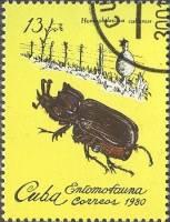 (1980-005) Марка Куба "Жук Калосома"    Насекомые III Θ