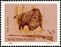 (1964-093) Марка Венгрия "Кабан"    Охота III Θ