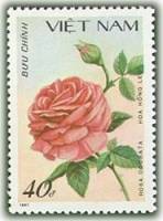(1988-009) Марка Вьетнам "Крупная роза"    Розы III Θ