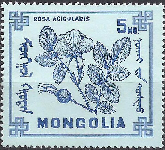 (1968-009) Марка Монголия "Шиповник иглистый"    Ягоды II &Theta;