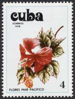 (1978-089) Марка Куба "Гибискус 2"    Цветы гибискуса I Θ