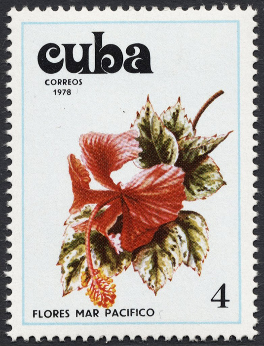 (1978-089) Марка Куба &quot;Гибискус 2&quot;    Цветы гибискуса I Θ