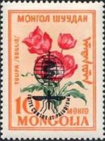(1962-018) Марка Монголия "Тюльпан съедобный"  Надпечатка  Борьба с малярией III O