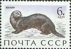 1971-074 Марка СССР Калан   Млекопитающие - обитатели морей и океанов II Θ