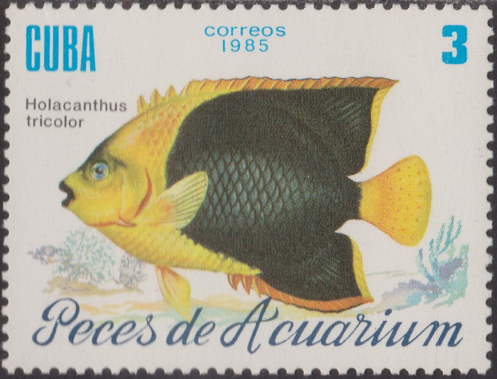 (1985-059) Сцепка (2 м) Куба &quot;Карибская императорская рыба&quot;    Рыбы III Θ