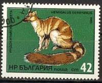 (1985-008) Марка Болгария "Полосатая цивета"   Экзотические хищники III Θ