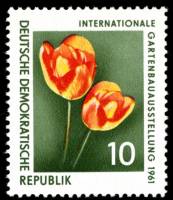 (1961-048) Марка Германия (ГДР) "Тюльпаны"    Выставка цветов II O