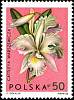 (1965-054) Марка Польша "Каттлея Варшевича" , III Θ
