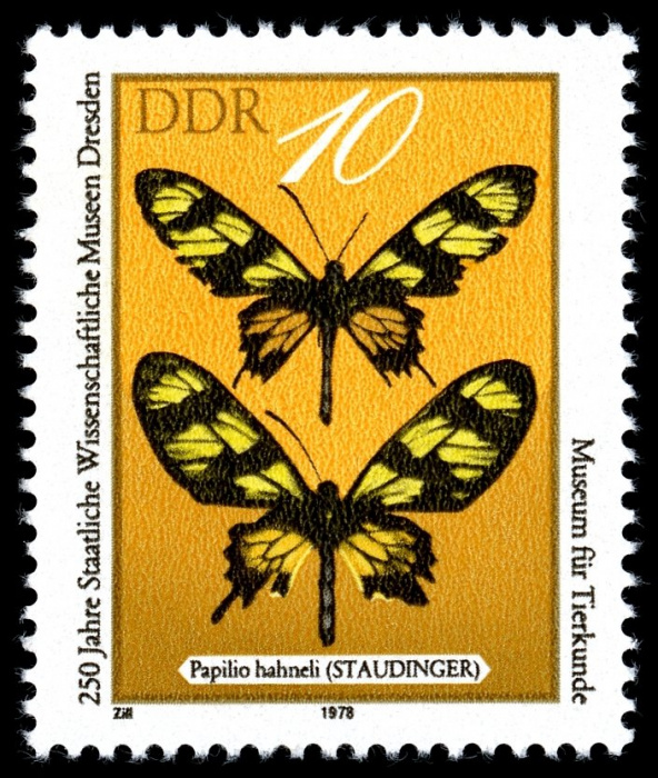 (1978-092) Марка Германия (ГДР) &quot;Бабочки&quot;    Музей Дрездена, 250 лет II Θ