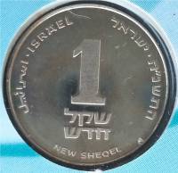 () Монета Израиль 1995 год 1 новый шекель ""   AU