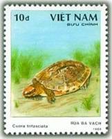 (1989-049) Марка Вьетнам "Трехполосная коробчатая черепаха"    Черепахи III Θ