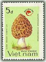 (1990-110) Марка Вьетнам "Сморчок съедобный"    Туризм III O