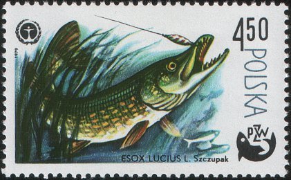 (1979-020) Марка Польша &quot;Щука &quot;    100 лет спортивной рыбалке III Θ